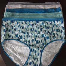 Load image into Gallery viewer, Carole Hochman Womens 5 Pack Midnight Cotton Luxe Briefs NewNoBox
