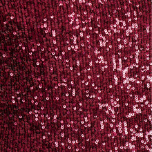 Load image into Gallery viewer, Hilary Radley Ladies&#39; Sequin Dress
