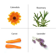 Load image into Gallery viewer, The Organic Pharmacy Carrot Butter Cleanser 2.5 oz
