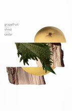 Load image into Gallery viewer, Hermes Terre D&#39;Hermes Pure Perfume 3-Piece Gift Set
